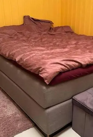 Bjornemyra 29h, * Alta