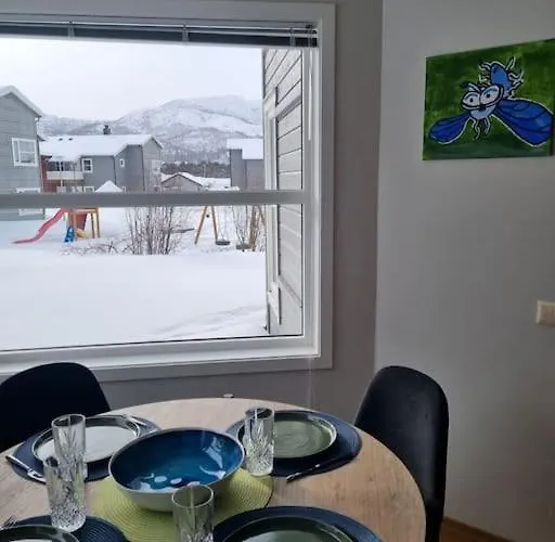 Bjornemyra 29h, * Alta