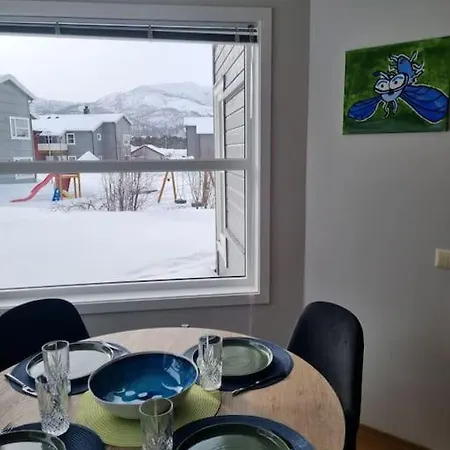 Bjornemyra 29h, * Alta